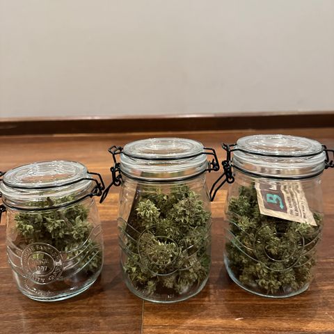 24k GOLD growlog timeline photo