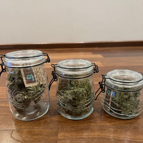 Strick Gorilla 4# growlog timeline photo