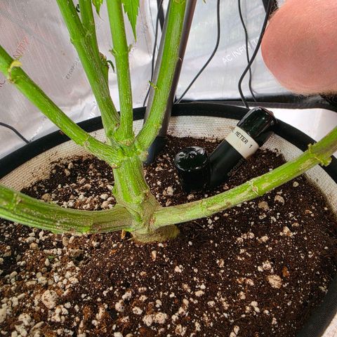 Loud Love growlog timeline photo