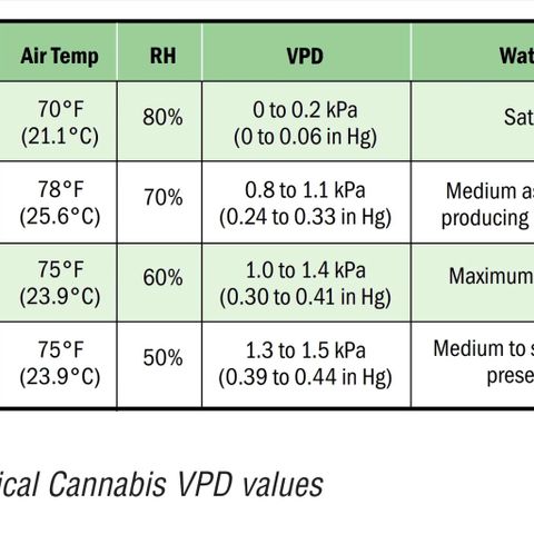 Auto Purple Kush growlog photo: Cannabis specific VPD