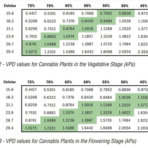 Auto Purple Kush growlog photo: Cannabis specific VPD