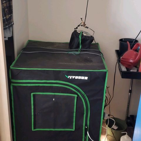 Passion growlog timeline photo