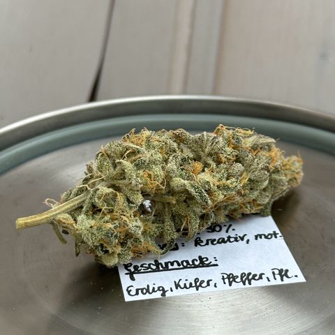 Royal Jack Auto growlog timeline photo