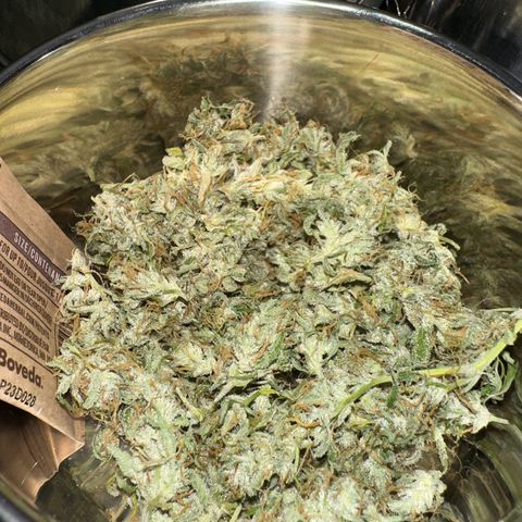 CookiesGelato 🍪 growlog timeline photo