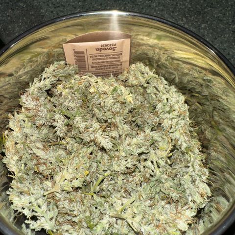 CookiesGelato 🍪 growlog timeline photo