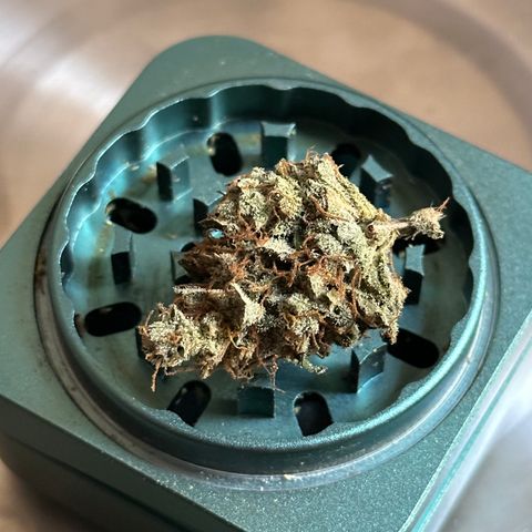 Cookies Gelato #2 🍪 growlog timeline photo