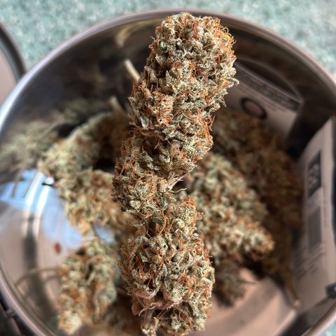 Cookies Gelato #2 🍪 growlog timeline photo