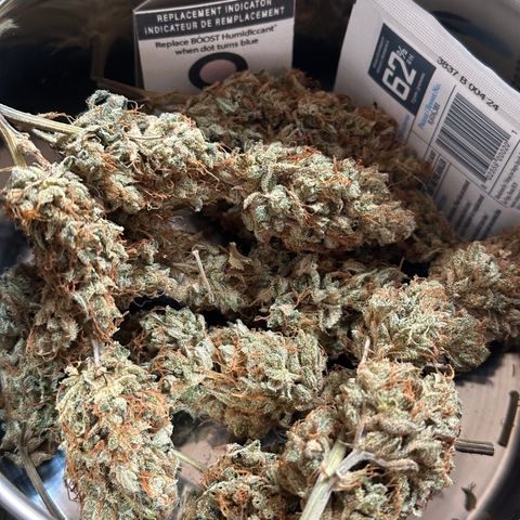 Cookies Gelato #2 🍪 growlog timeline photo