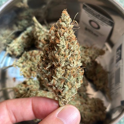 Cookies Gelato #2 🍪 growlog timeline photo