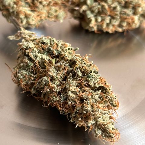 Cookies Gelato #2 🍪 growlog timeline photo
