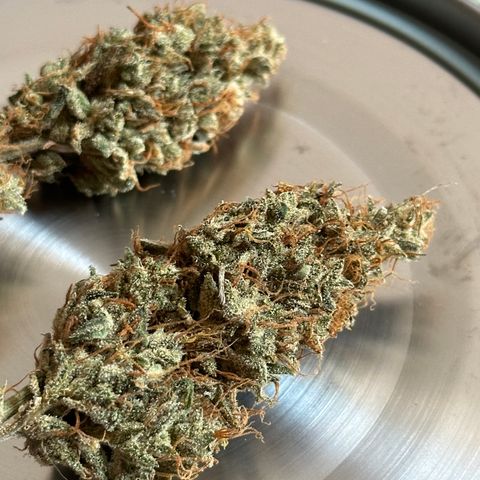 Cookies Gelato #2 🍪 growlog timeline photo