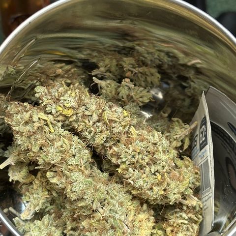 Pink Runtz Auto growlog timeline photo