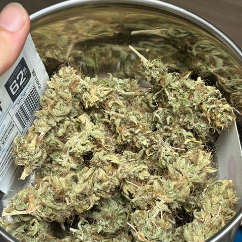 Pink Runtz Auto growlog timeline photo