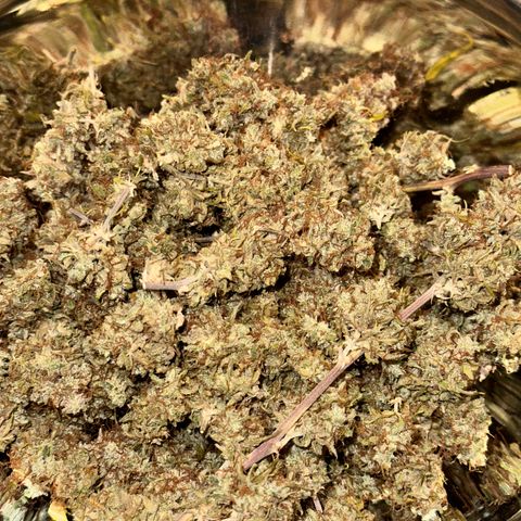 Trainwreck Auto growlog timeline photo