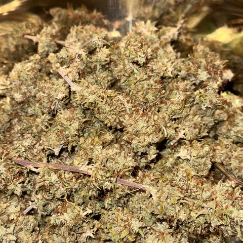 Trainwreck Auto growlog timeline photo