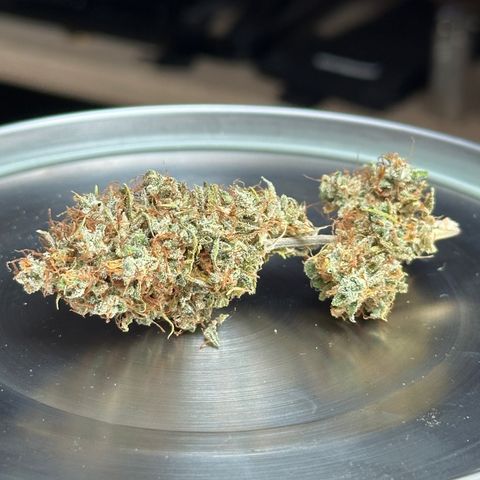 Trainwreck Auto growlog timeline photo