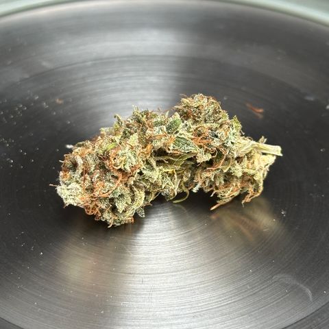 Trainwreck Auto growlog timeline photo