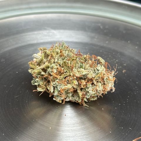 Trainwreck Auto growlog timeline photo