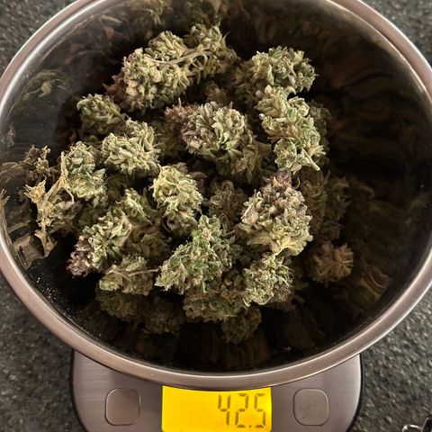 Wedding Cake 🍰 growlog timeline photo