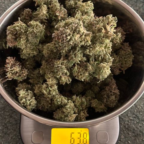 Wedding Cake 🍰 growlog timeline photo