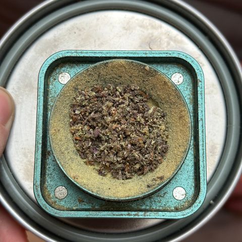 Mimosa Auto 🍊🥂 growlog timeline photo
