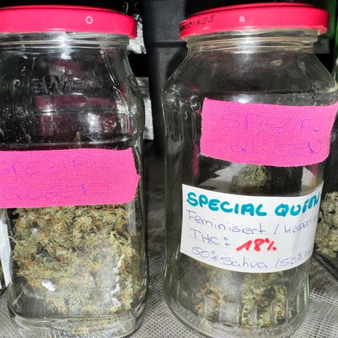 Special Queen growlog timeline photo