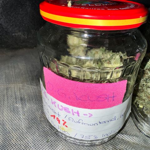 OG Kush growlog timeline photo
