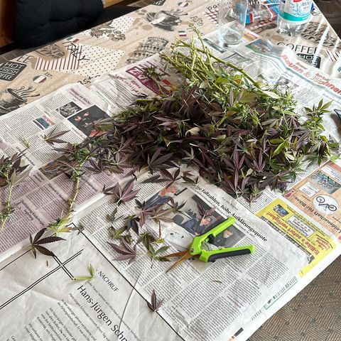 Ak 47 growlog timeline photo