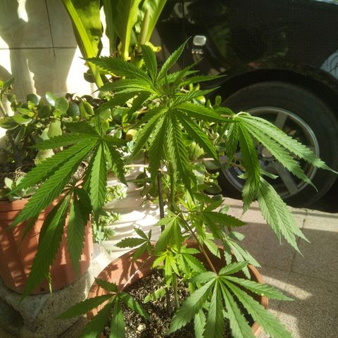 Natural growlog photo: Fotos del 29 de noviembre 