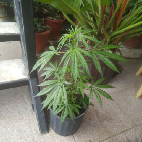 Natural growlog photo: Visita del 16 de diciembre 