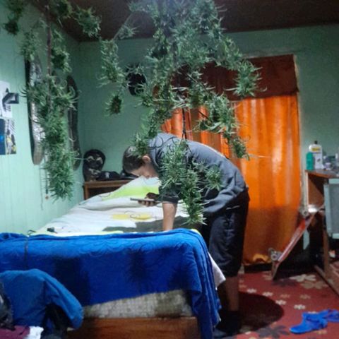Natural growlog photo: Todo el proceso 