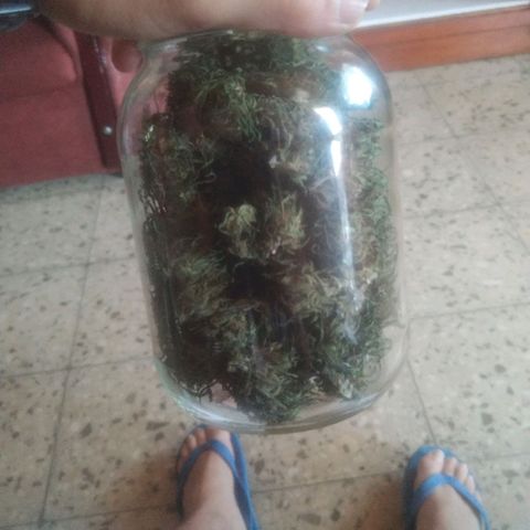 Natural growlog photo: Todo el proceso 