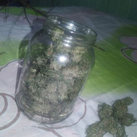 Natural growlog photo: Todo el proceso 