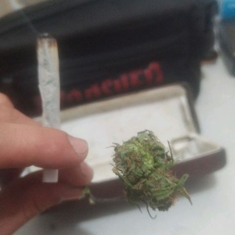 Natural growlog photo: Todo el proceso 