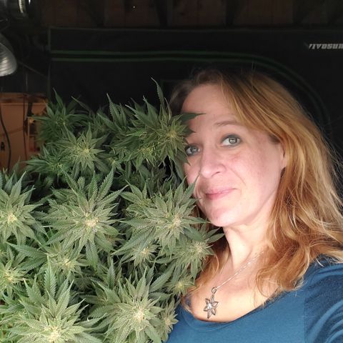 WW3 growlog timeline photo