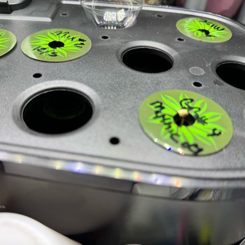 1st Grow growlog timeline photo