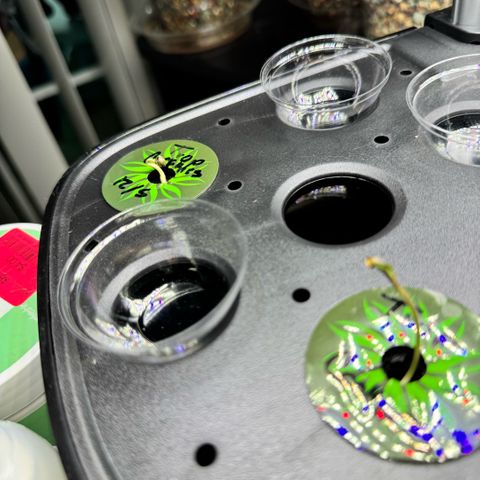 1st Grow growlog timeline photo