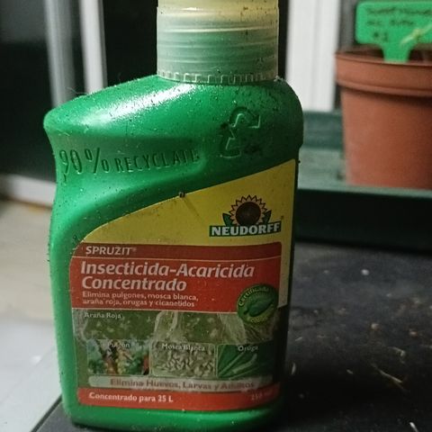 Cheese GB growlog photo: Medidor 4 un 1
Pipetas 2ml
Atami Terra leaves 
Tijeras de poda
Insecticida aracnicida
