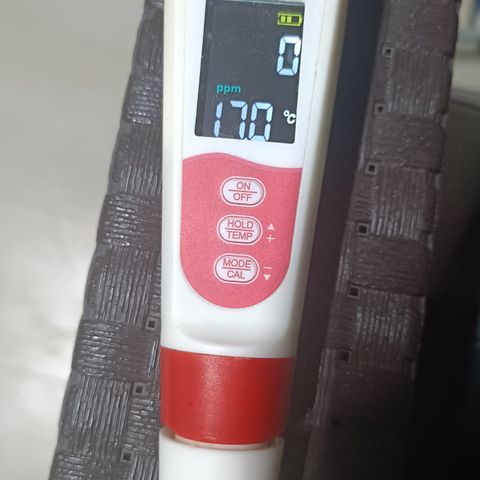 Cheese GB growlog photo: Medidor 4 un 1
Pipetas 2ml
Atami Terra leaves 
Tijeras de poda
Insecticida aracnicida
