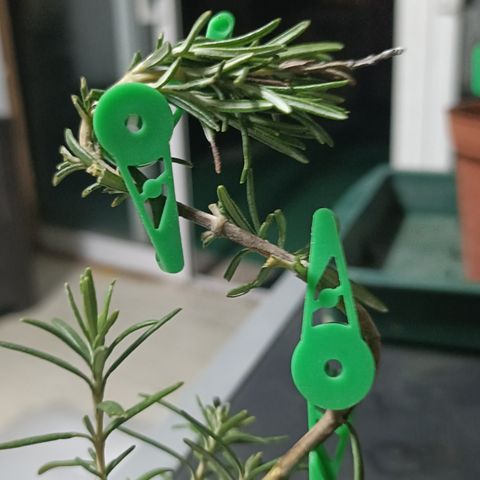 Cheese GB growlog photo: Clips o pinzas para tutorar, facilidad en el manejo del LST, deja de atar y de estrangular la planta, con estos clipstal vez conseguiremos guiar la planta en ángulos casi perfectos. A ver qué tal funcionan!