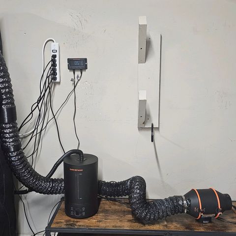 Wedding Cake / First Indoor growlog timeline photo