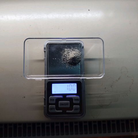 Mario's Runtz growlog timeline photo