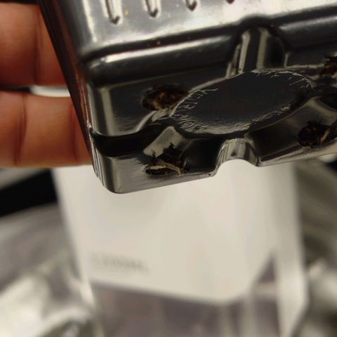 Mario's Runtz growlog timeline photo