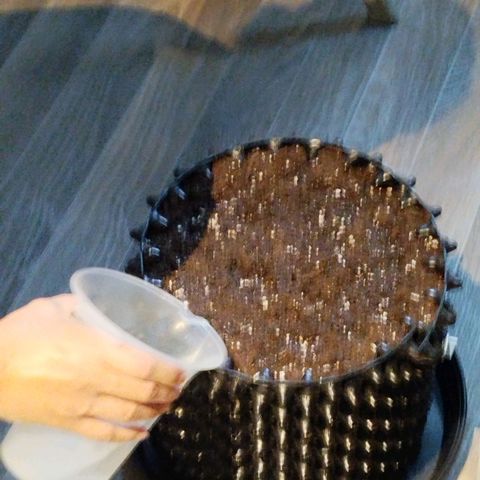 Mario's Runtz growlog photo: Heute Erde Vorbereitet 15l All-Mix und 1,5 Liter Wurmhumus + 15g Bittersalz. 