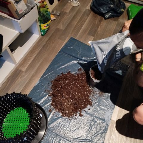 Mario's Runtz growlog photo: Heute Erde Vorbereitet 15l All-Mix und 1,5 Liter Wurmhumus + 15g Bittersalz. 