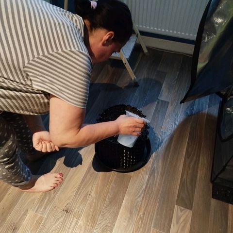 Mario's Runtz growlog photo: Heute Erde Vorbereitet 15l All-Mix und 1,5 Liter Wurmhumus + 15g Bittersalz. 