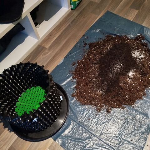 Mario's Runtz growlog photo: Heute Erde Vorbereitet 15l All-Mix und 1,5 Liter Wurmhumus + 15g Bittersalz. 