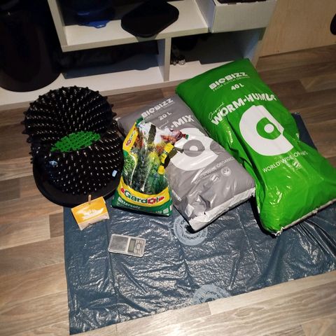 Mario's Runtz growlog photo: Heute Erde Vorbereitet 15l All-Mix und 1,5 Liter Wurmhumus + 15g Bittersalz. 