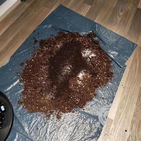 Mario's Runtz growlog photo: Heute Erde Vorbereitet 15l All-Mix und 1,5 Liter Wurmhumus + 15g Bittersalz. 