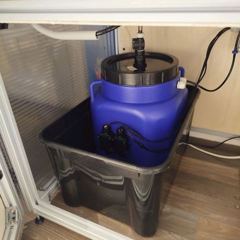Mario's Runtz growlog timeline photo